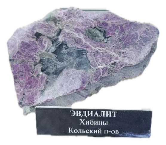 Экспонат, который нужно узнать
